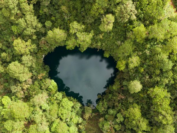 Chiapas All Inclusive