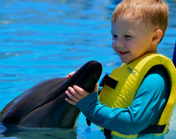 Dolphinaris Cancún