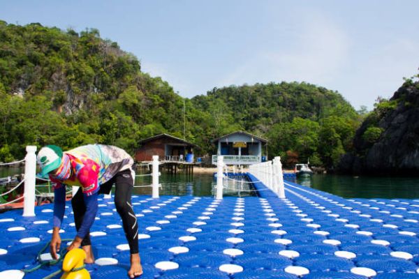 Materials Used In Residential Docks