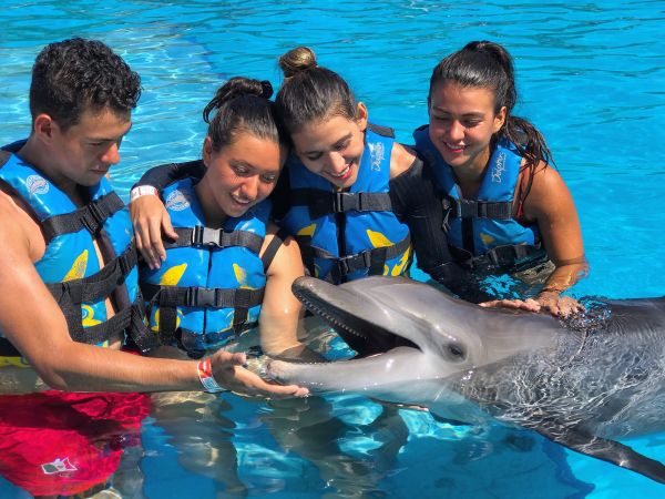 Swim With Dolphins in Garrafon Park