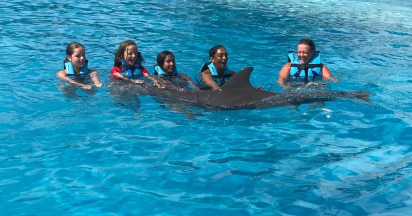 Garrafon Park Isla Mujeres Swim With Dolphins