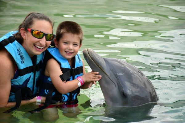 Garrafon Park Swim With Dolphins