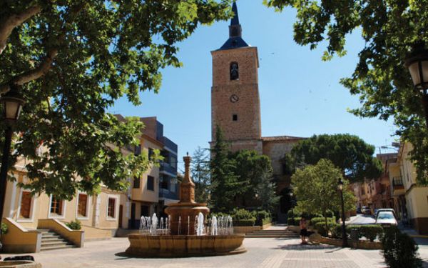 ¿Conoces La Gastronomía De La Tierra Del Quijote?