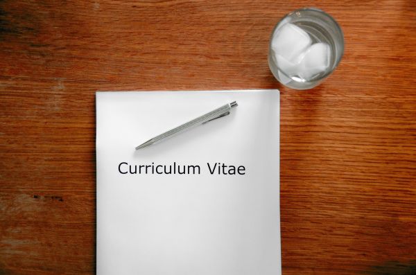 Ten Un Excellent Curriculum Vitae