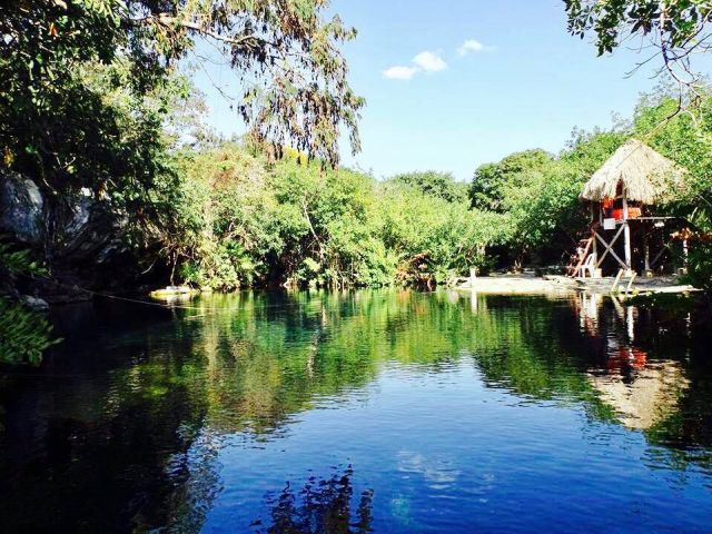 Crystalline Cenote Playa del Carmen Quintana Roo