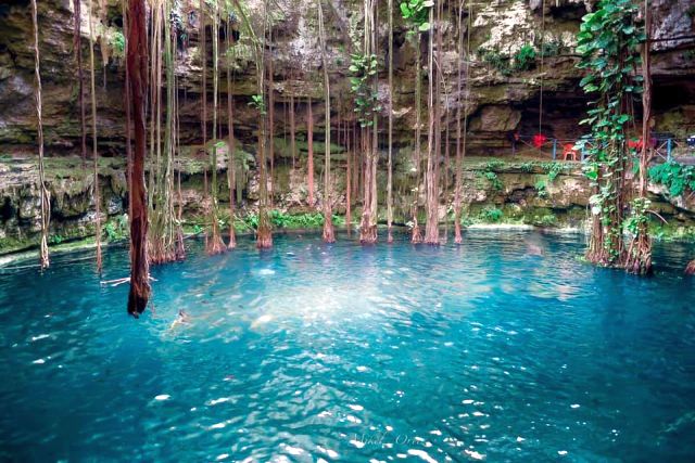 Cenote St. Lawrence Oxman Valladolid Yucatan