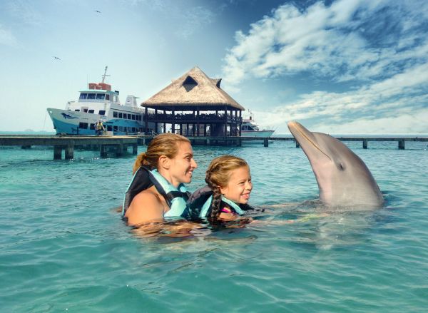 Disfruta un Nado con Delfines