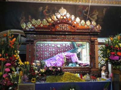 El Señor De Las Maravillas El Señor De Las Maravillas