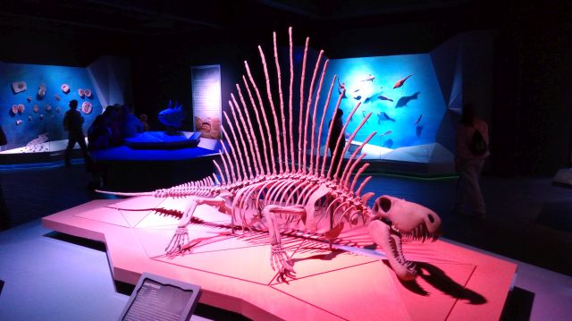 museo de la evolucion puebla