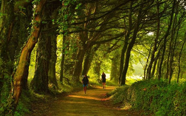 ¿Qué Ruta Elegir para el Camino de Santiago con Niños?